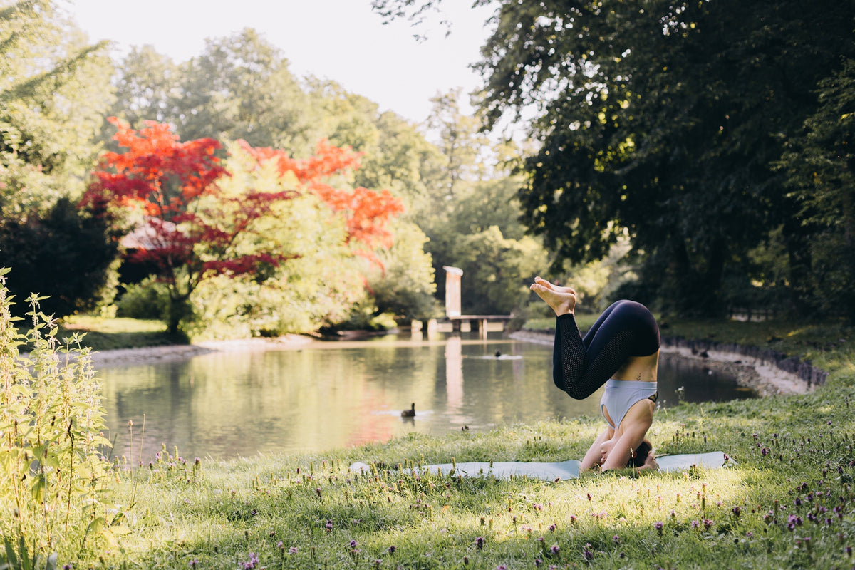 A Taste of Rural Spain: Yoga, Connection, and Life on the Farm