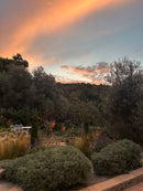 La Posada Del Agua x The Breathing Space Retreat