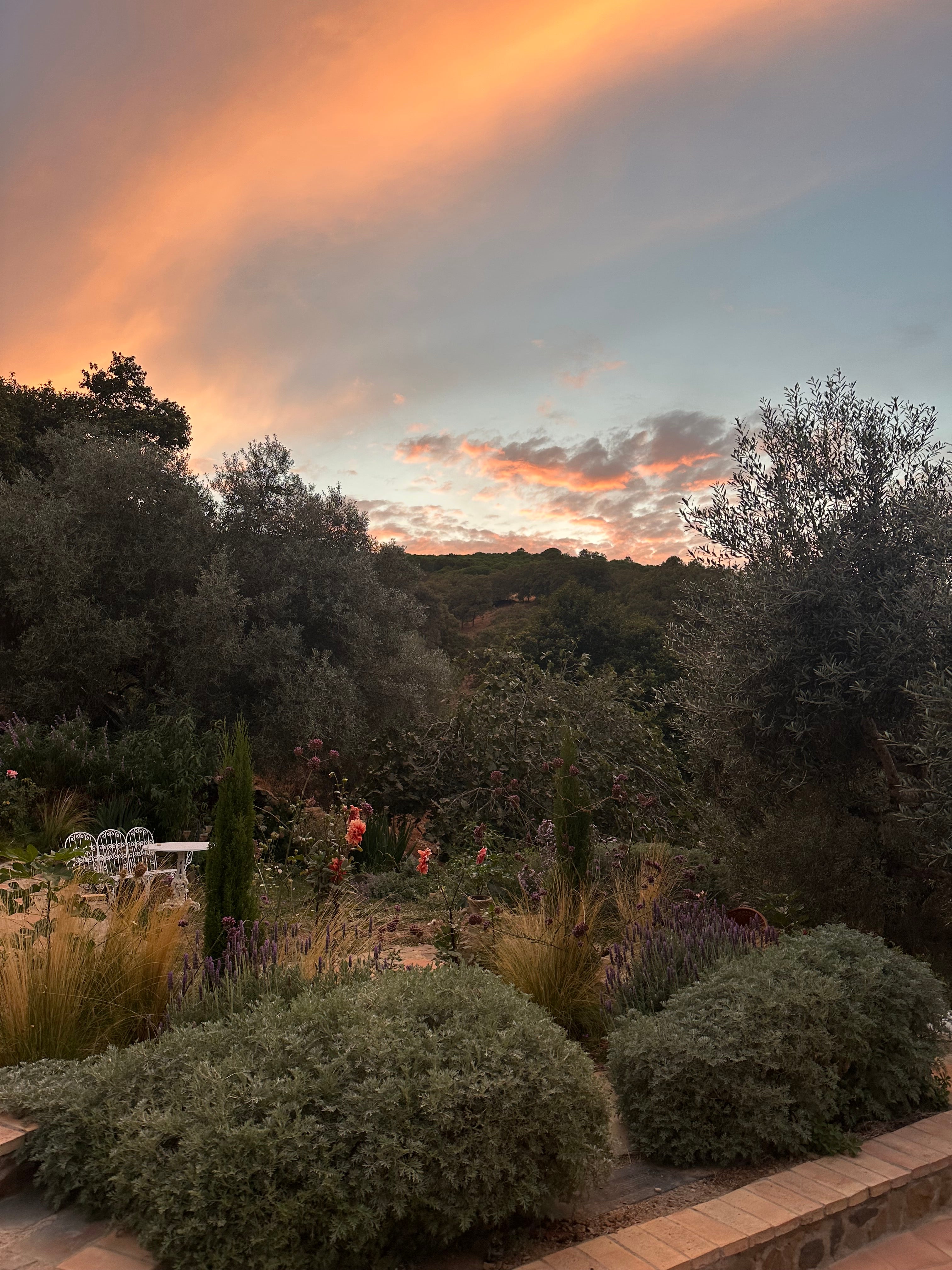 La Posada Del Agua x The Breathing Space Retreat