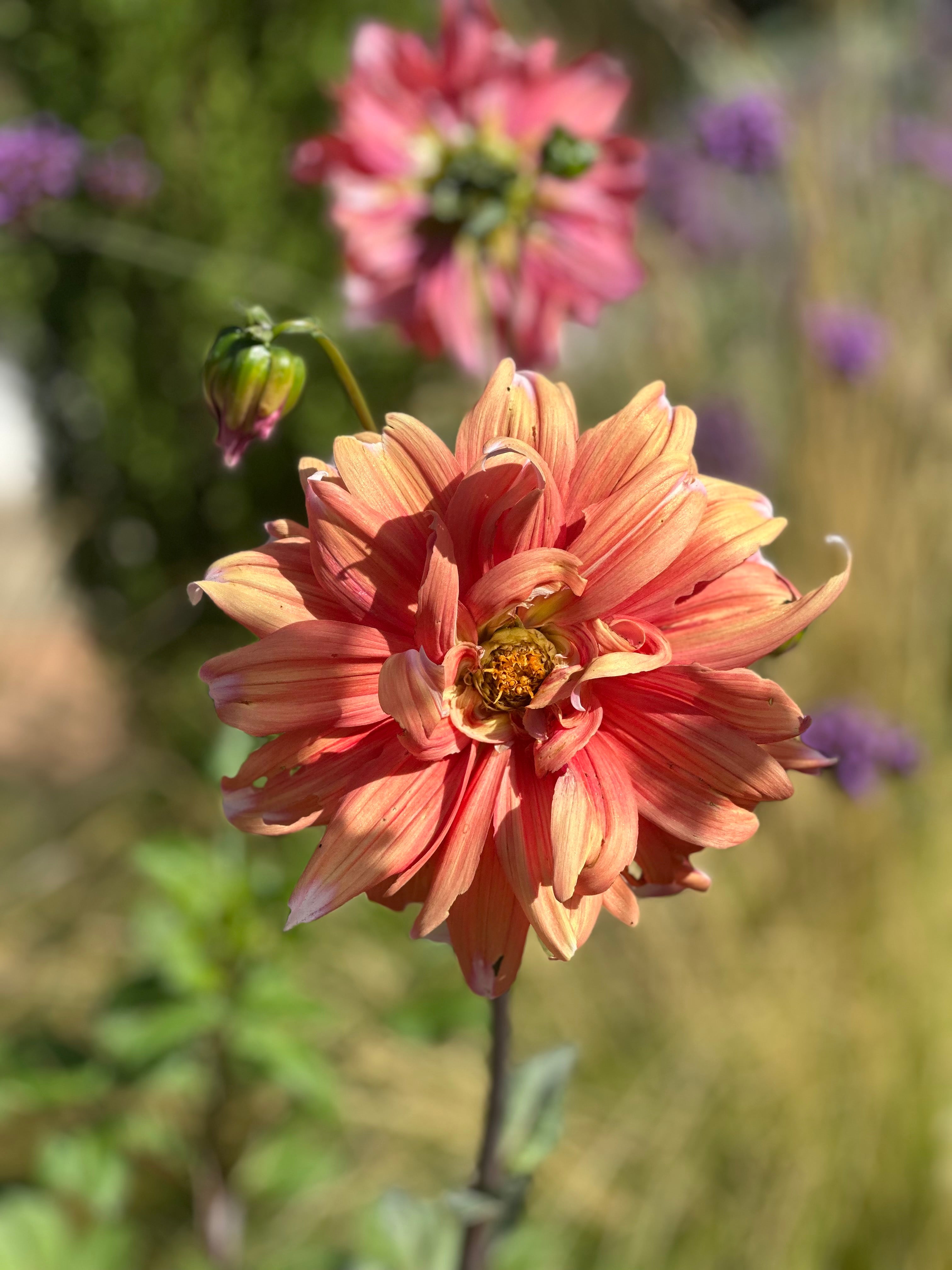 La Posada Del Agua x The Breathing Space Retreat