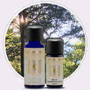 Introduction to Marma Point Therapy with Jonathan Hinde