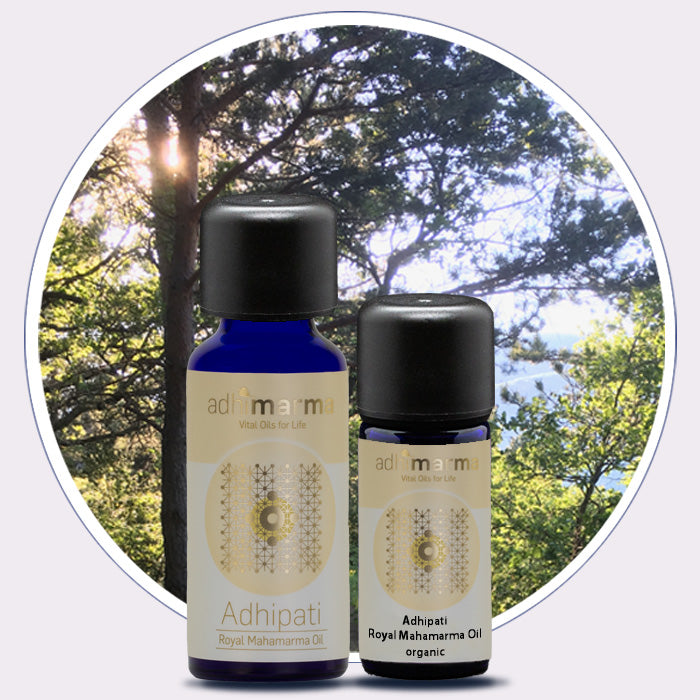 Introduction to Marma Point Therapy with Jonathan Hinde