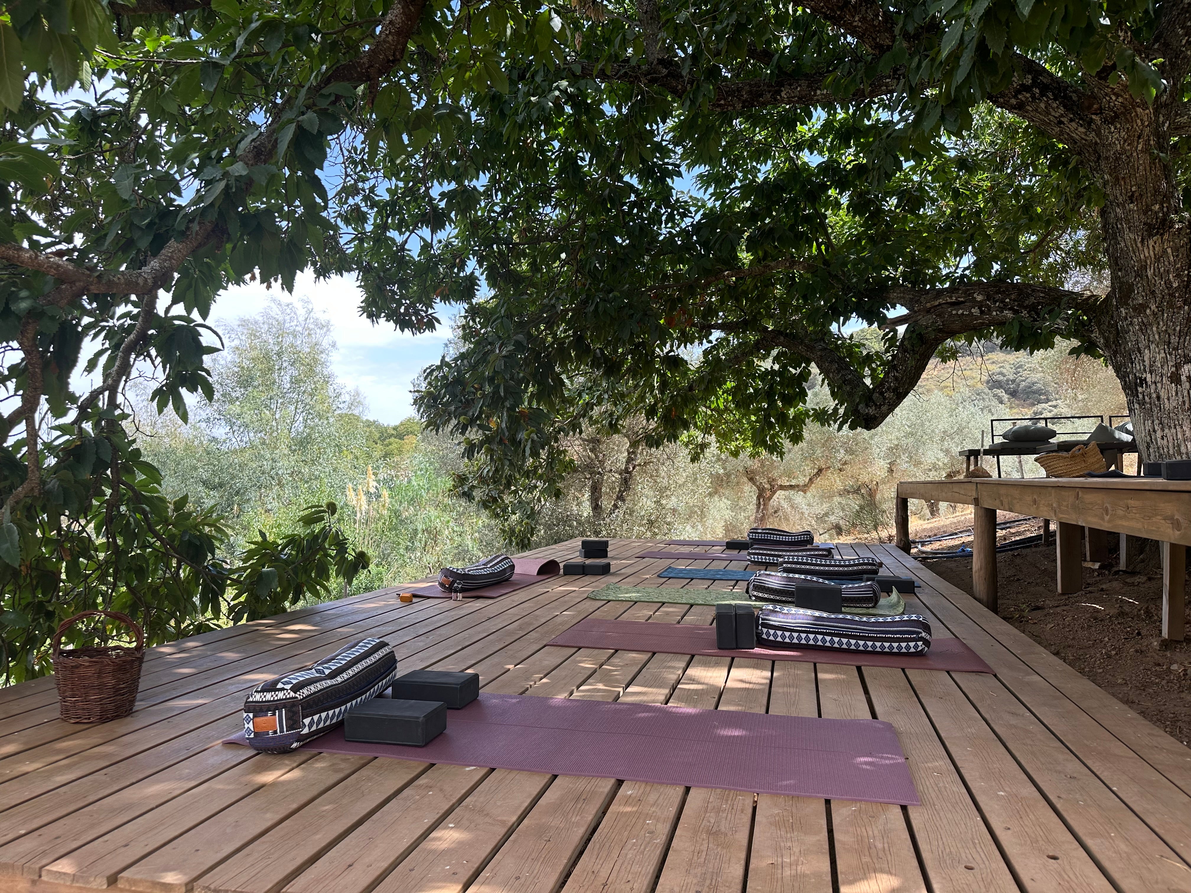 La Posada Del Agua x The Breathing Space Retreat