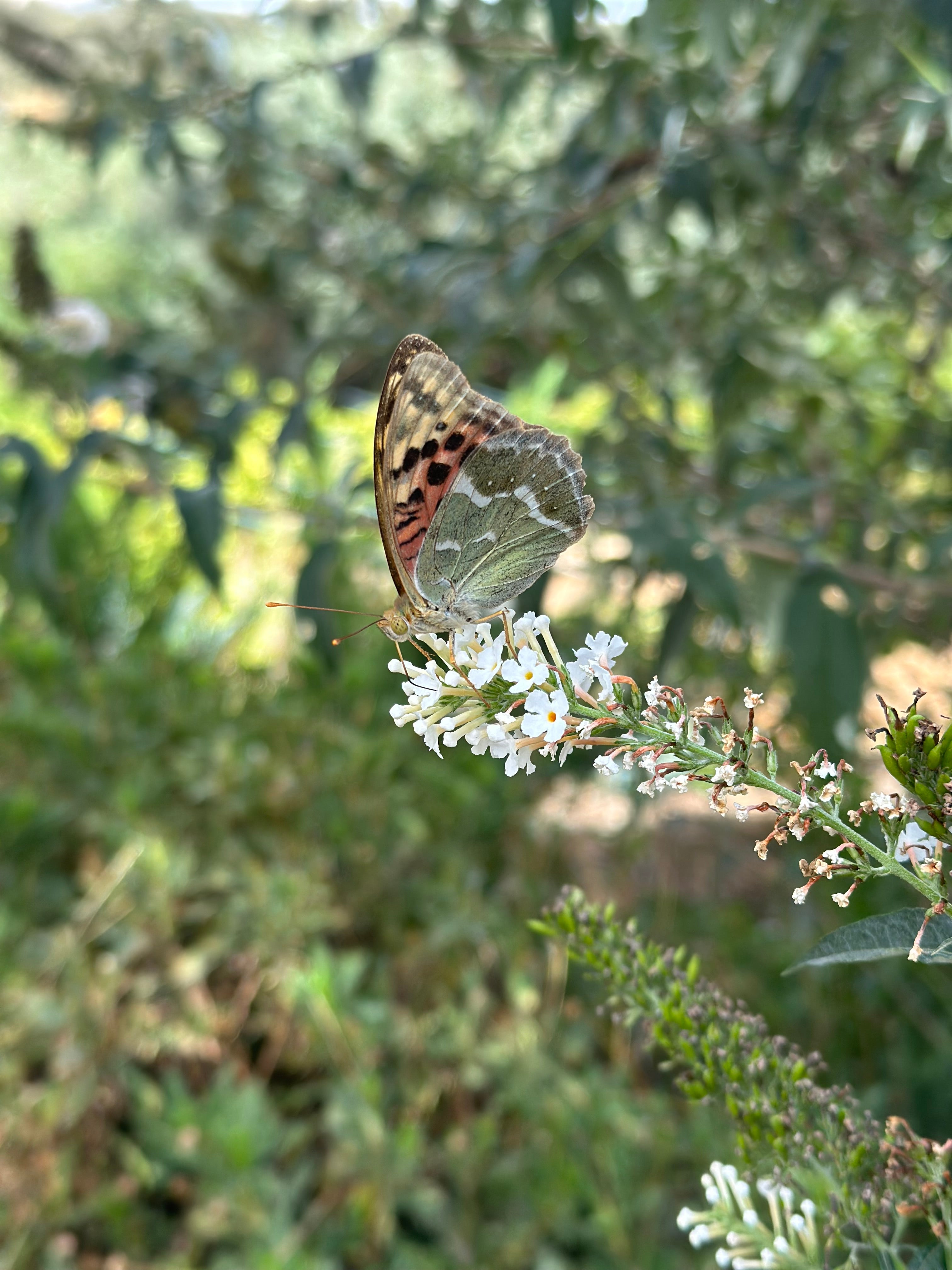 La Posada Del Agua x The Breathing Space Retreat