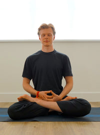 18.30-19.45 Yin and Restorative with Josh Tingley