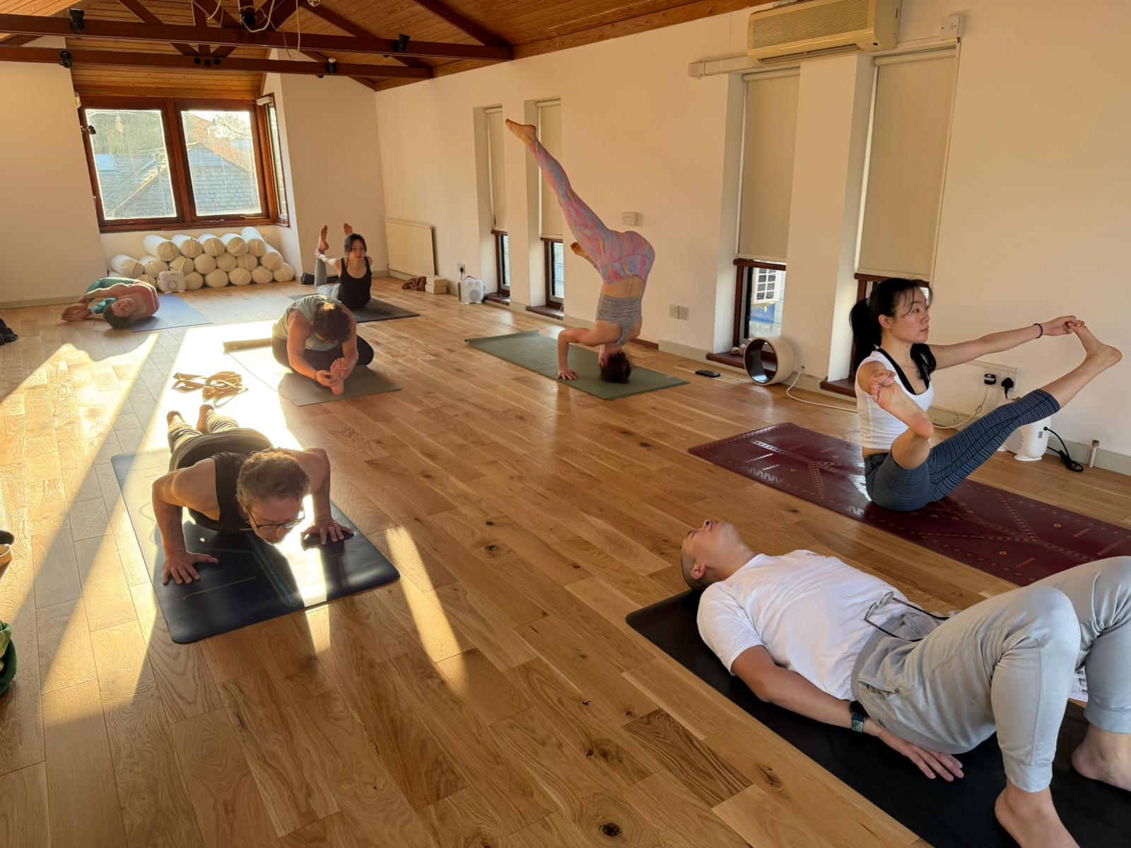 Ashtanga Mysore Programme