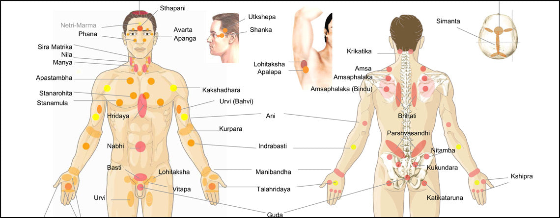 Introduction to Marma Point Therapy with Jonathan Hinde